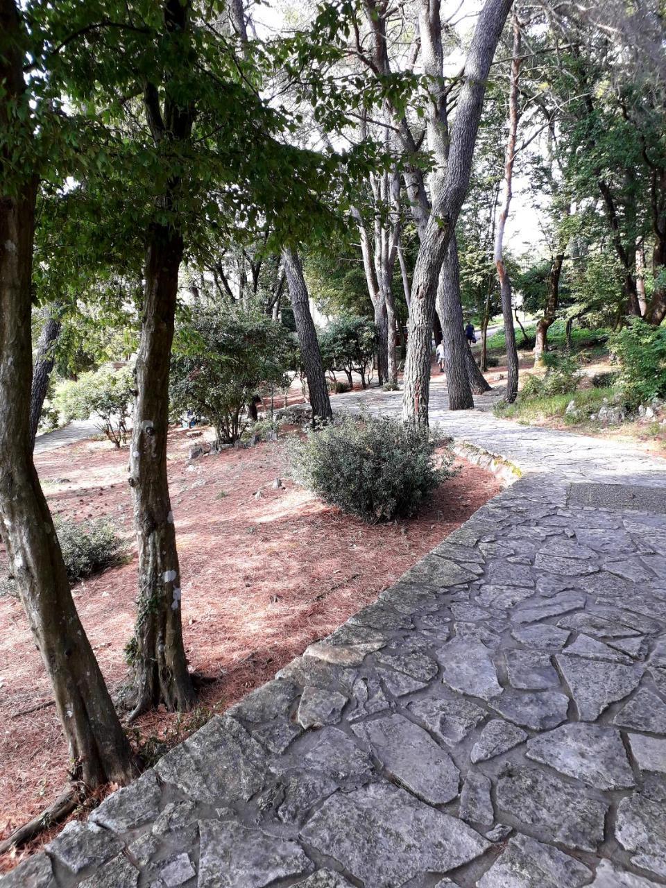 Apartments And Rooms Haludovo - Ribarsko Selo 马林斯卡 外观 照片